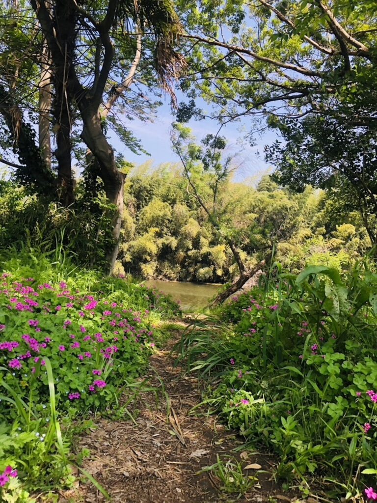 花見川サイクリングロード