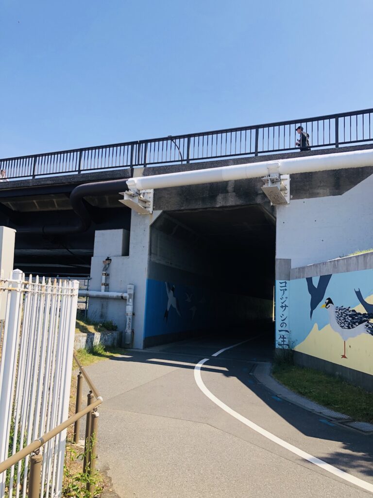 花見川サイクリングロード