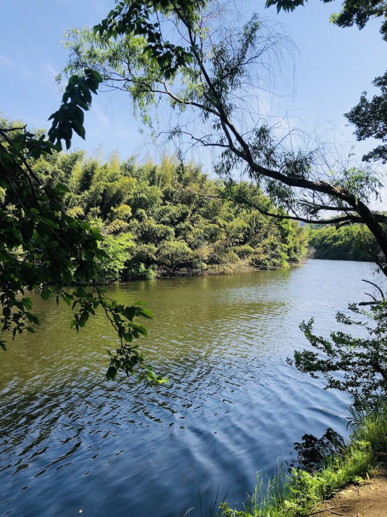 花見川サイクリングロード
