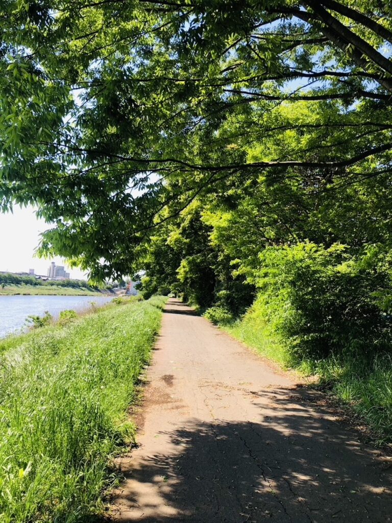 新川サイクリングロード