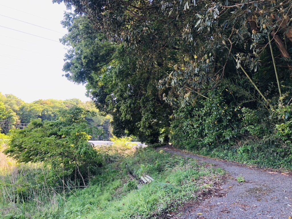 新川サイクリングロード