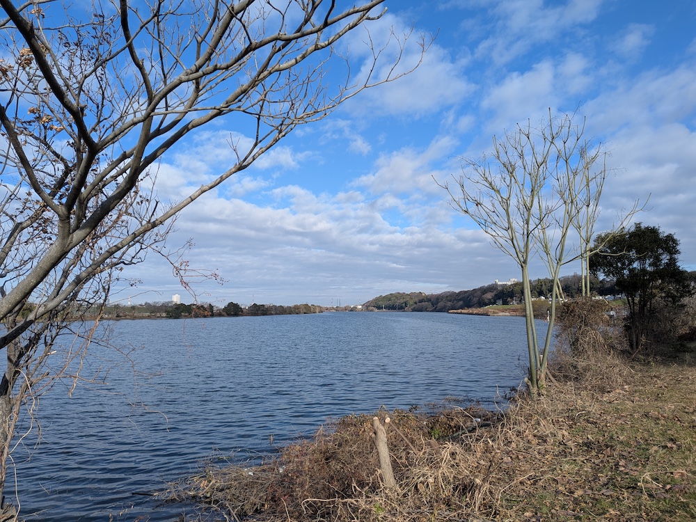 江戸川サイクリングロード