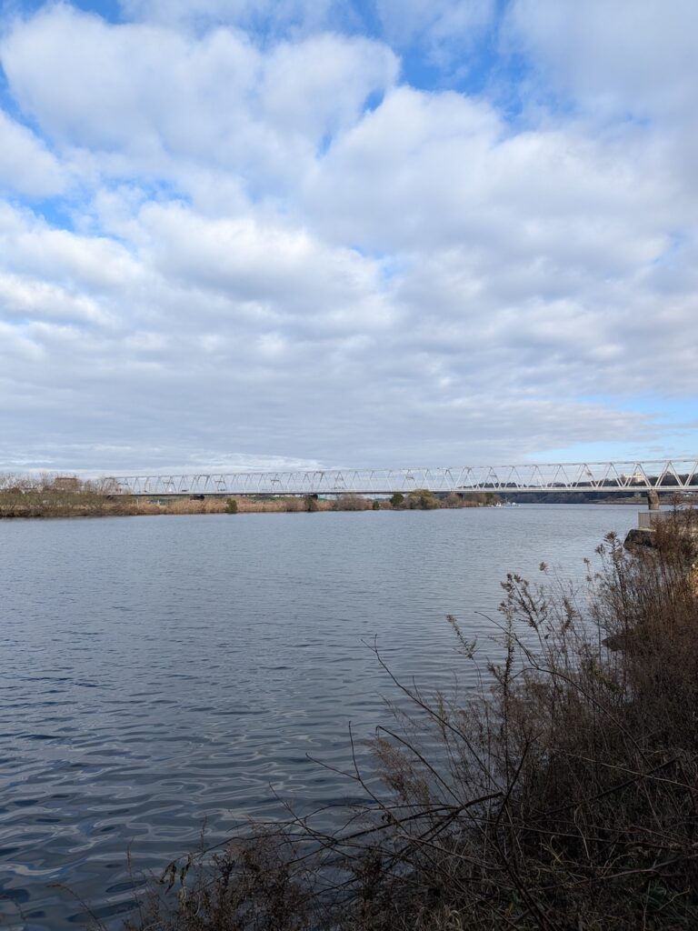 江戸川サイクリングロード