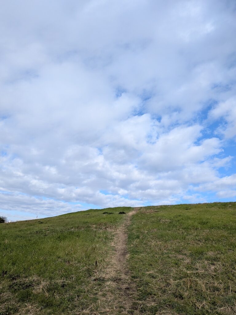 小高い丘へ向かう細い未知。空に向かって伸びているよう。