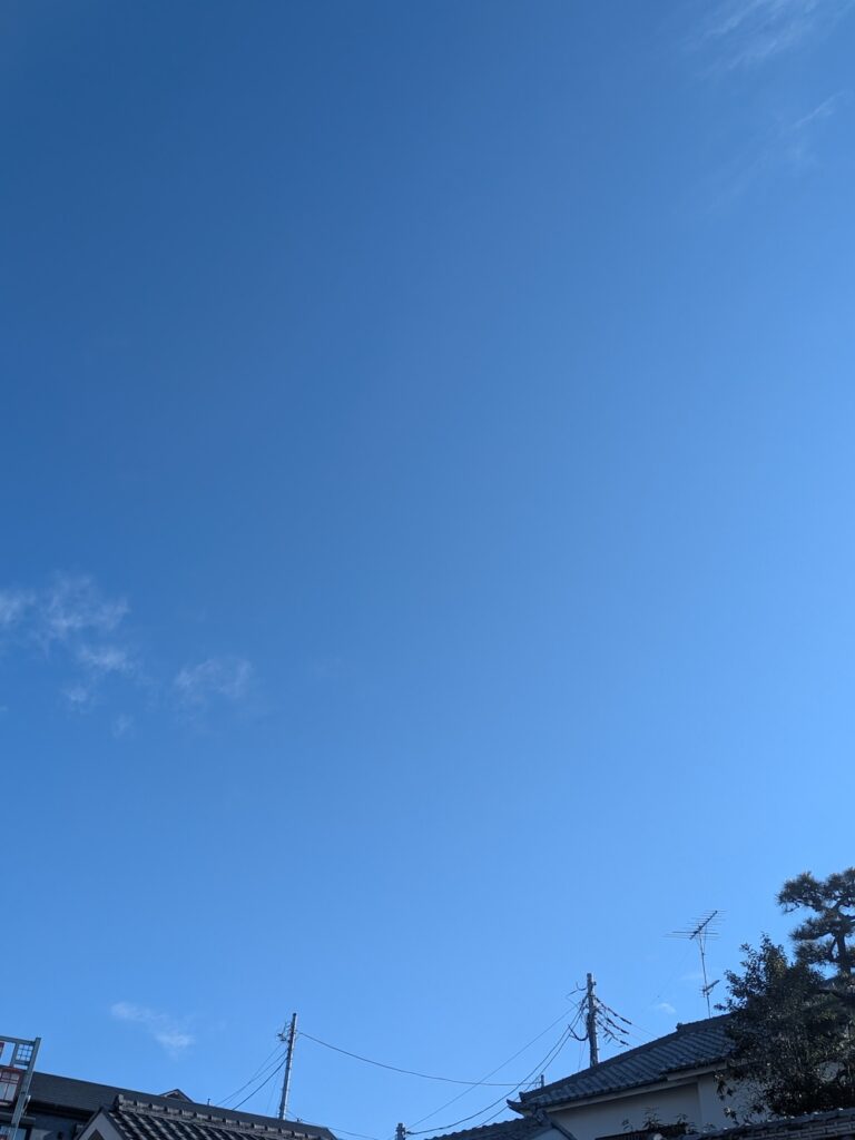 空気が綺麗な冬の空。冬でも散歩は気持ちいい。