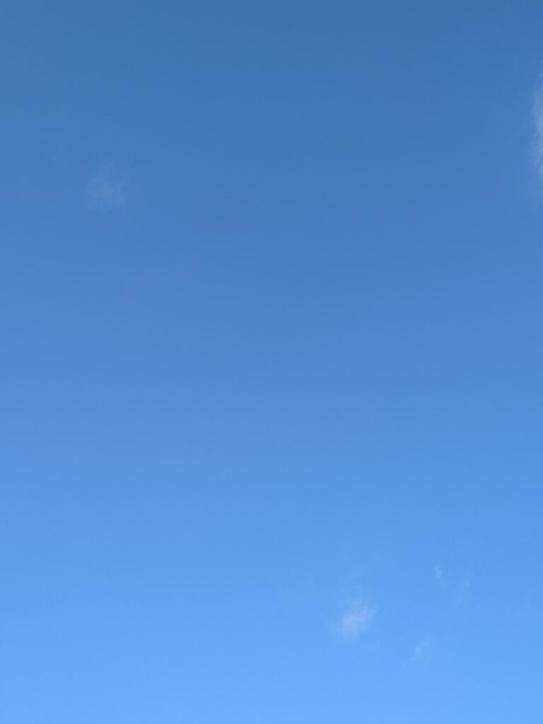 1月中旬。雲一つない青空