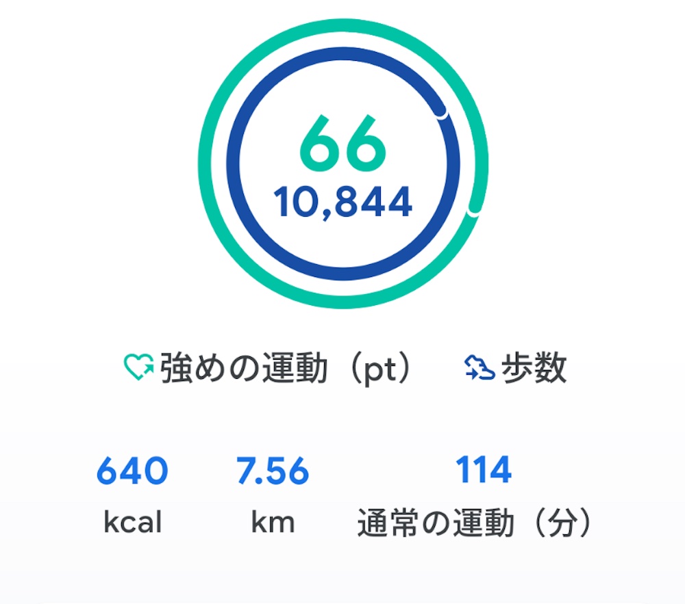 散歩の歩数キャプチャー