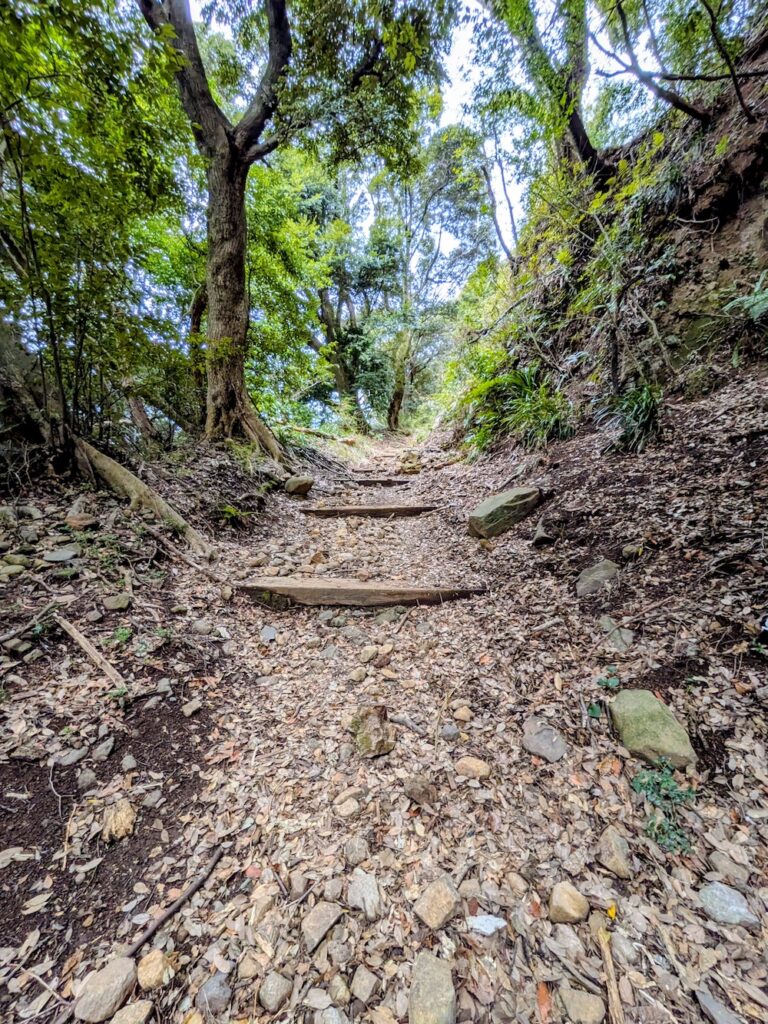 伊豆山神社「本宮」へ向かう山道