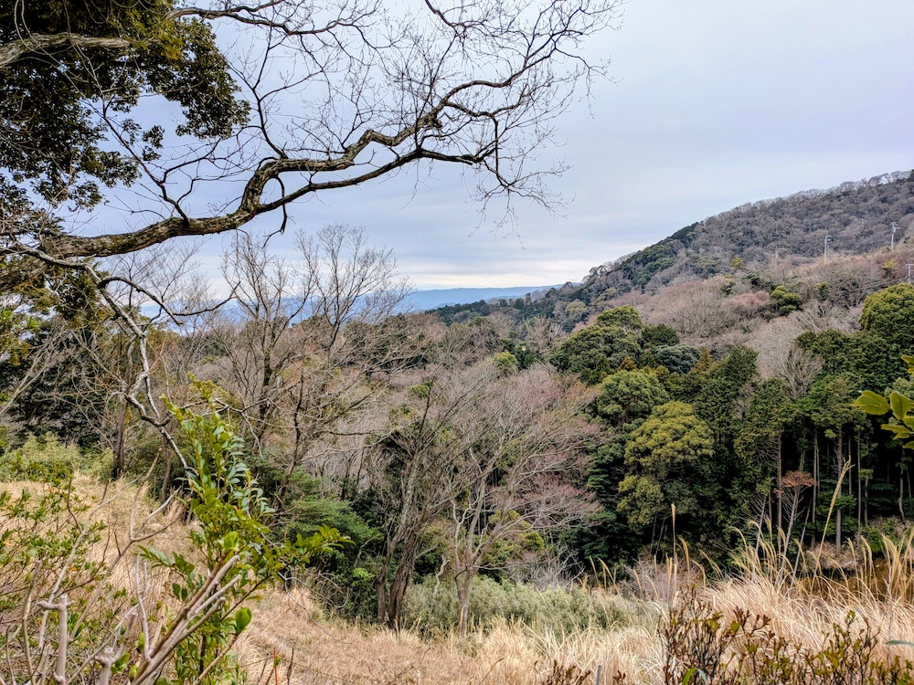 伊豆山神社本宮からの眺め