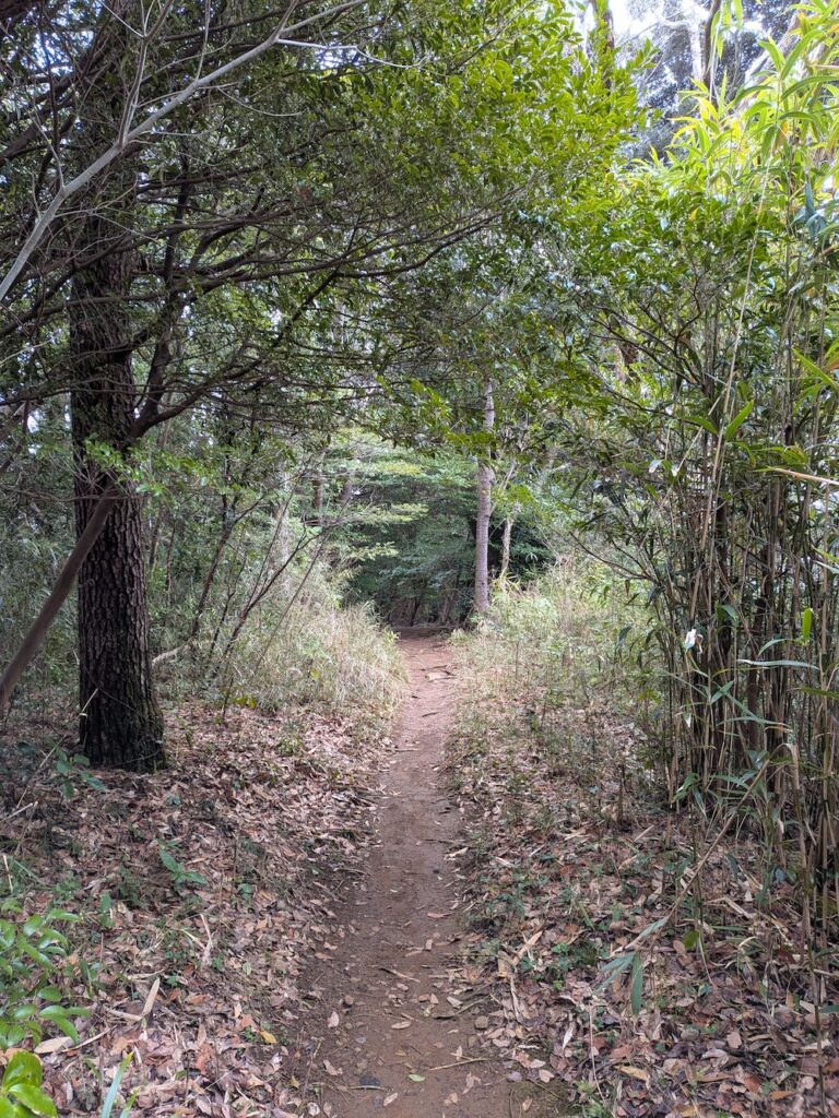 伊豆山神社本宮の山道