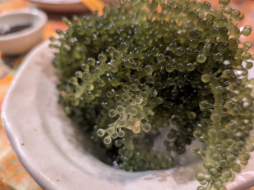 「沖縄屋台村 めんそーれ」海ぶどう