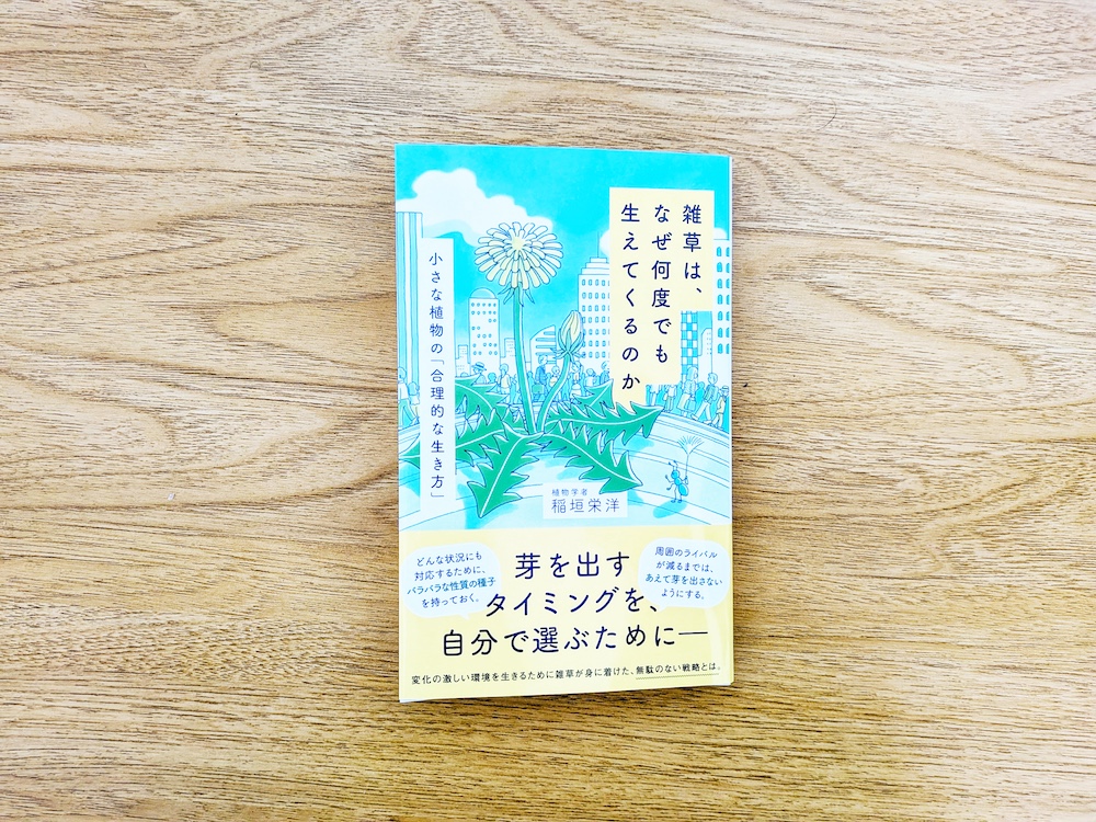 雑草は、なぜ何度も生えてくるのか（稲垣栄洋）