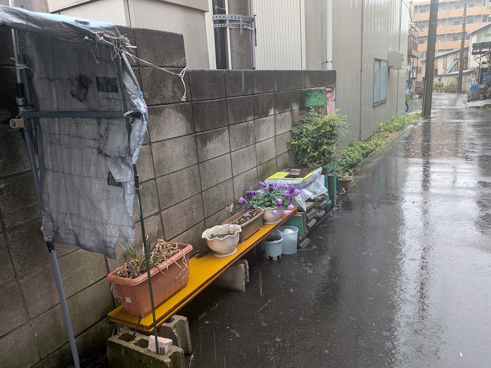 雨の路地