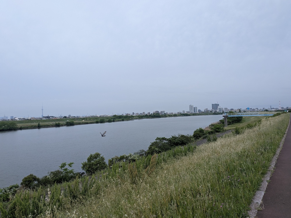 江戸川サイクリングロード